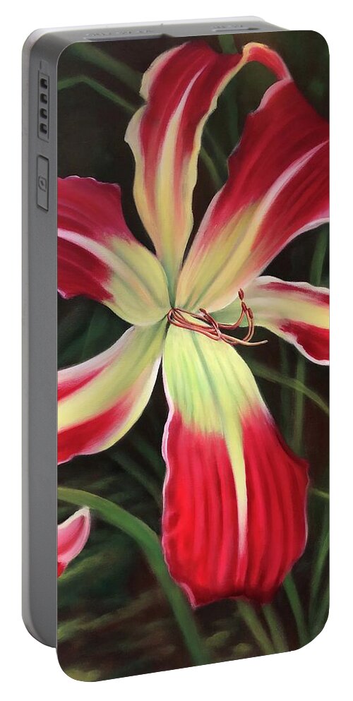 Flower Portable Battery Charger featuring the painting Red Daylily by Rand Burns