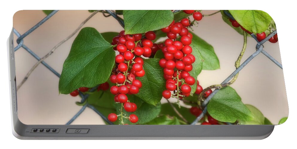 Berries Portable Battery Charger featuring the photograph Red Delight by Joan Bertucci