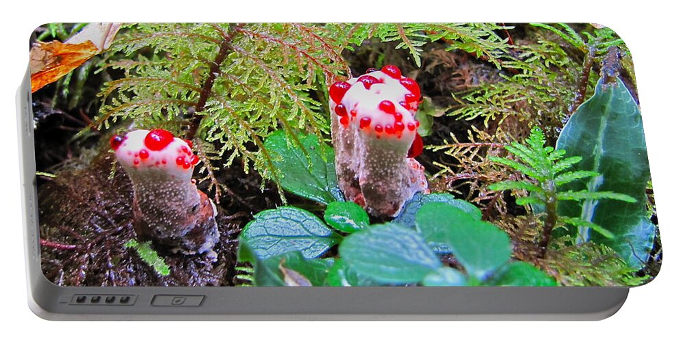 Mushroom Portable Battery Charger featuring the photograph Red-dotted mushroom by Sean Griffin