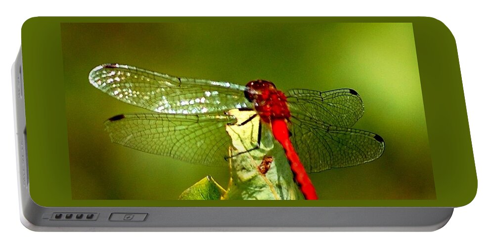 Digital Photograph Portable Battery Charger featuring the photograph Red Dragon 2 by David Lane
