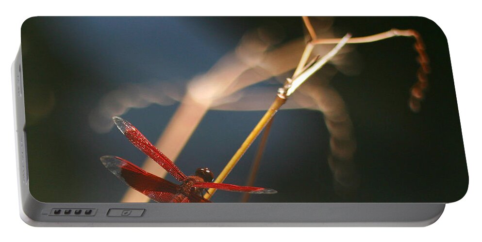 Dragonfly Portable Battery Charger featuring the photograph Red Dragonfly by Mike Reid