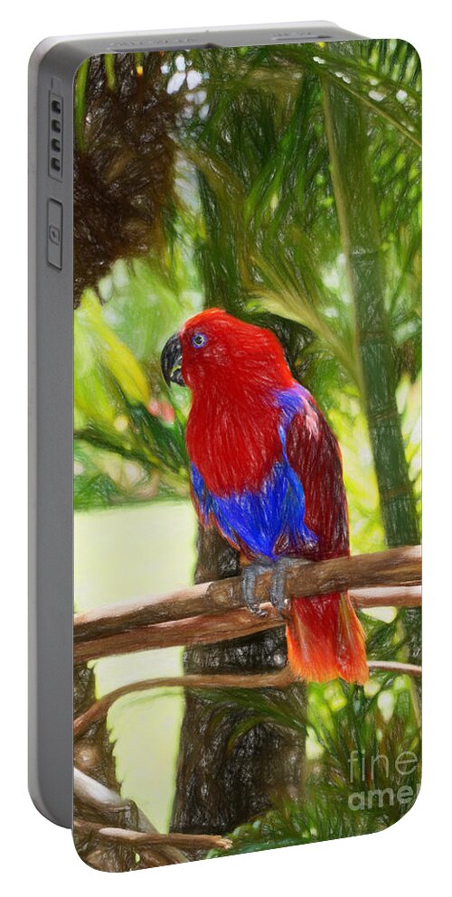 Hawaii Portable Battery Charger featuring the photograph Red Eclectus Parrot by Sue Melvin