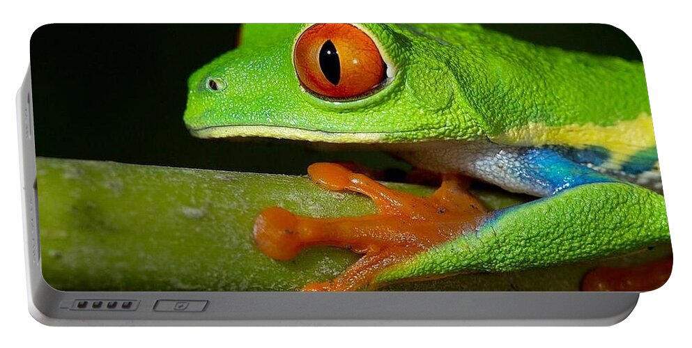 Red Eyed Tree Frog Portable Battery Charger featuring the digital art Red Eyed Tree Frog by Maye Loeser