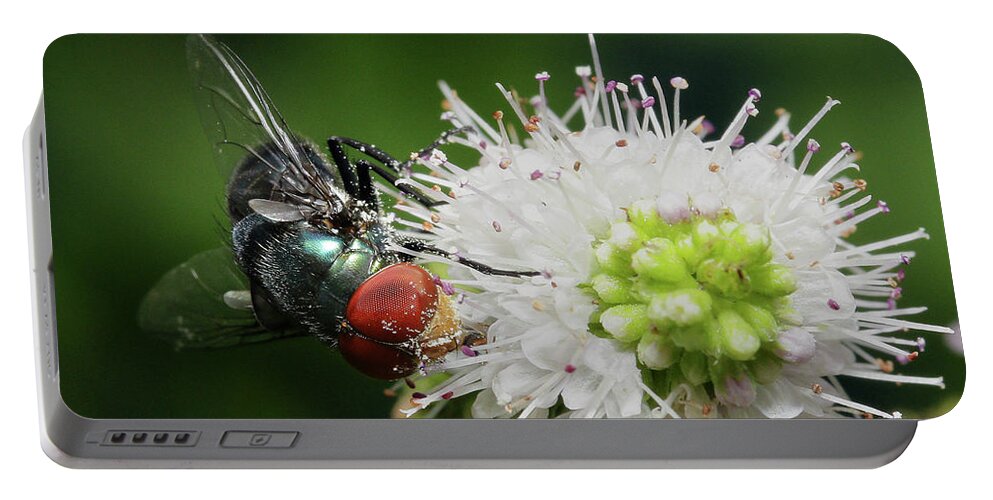 Flies Portable Battery Charger featuring the digital art Red eyes 999 by Kevin Chippindall