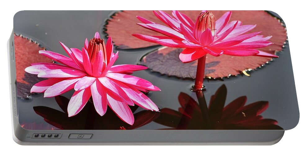 Nature Portable Battery Charger featuring the photograph Red Flare Water Lily by Bruce Bley