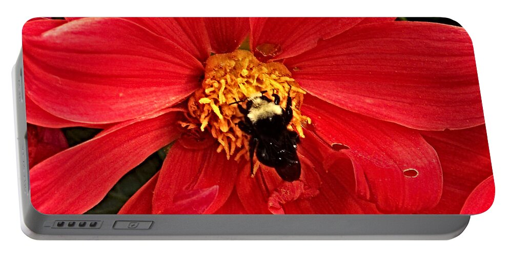 Flower Portable Battery Charger featuring the photograph Red Flower and Bee by Anthony Jones