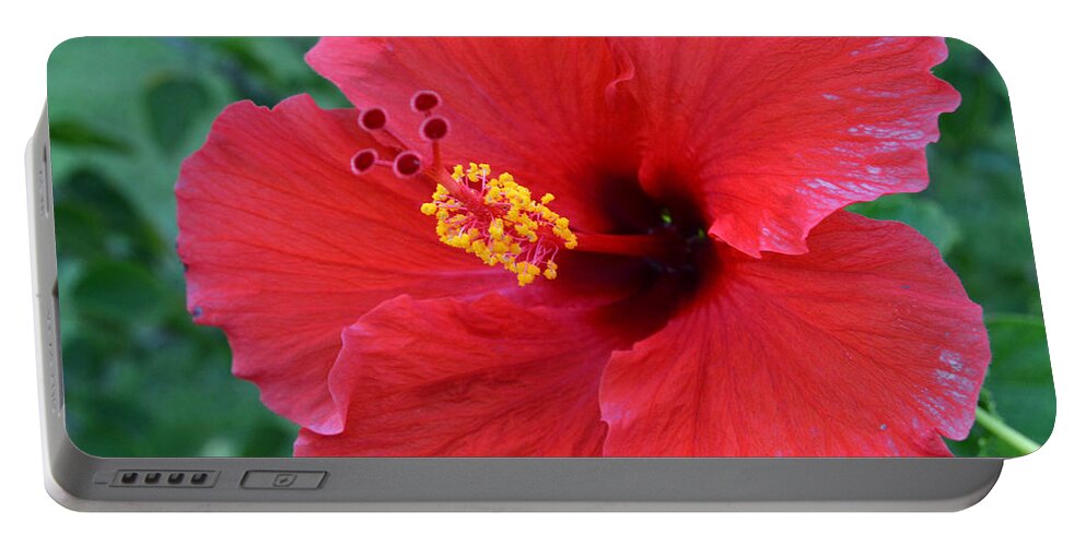 Flower Portable Battery Charger featuring the photograph Red Hibiscus 1 by Amy Fose