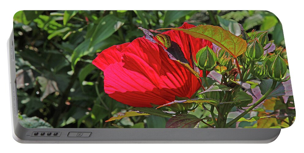 Red Hibiscus Green Buds And Seedpods Green Foliage Background Portable Battery Charger featuring the photograph Red Hibiscus Green Buds and Seedpods Green Foliage Background 2 952017 by David Frederick