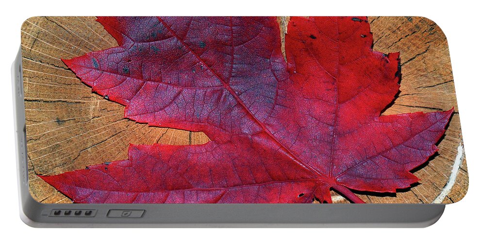 Red Portable Battery Charger featuring the photograph Red Leaf on Stump by David T Wilkinson