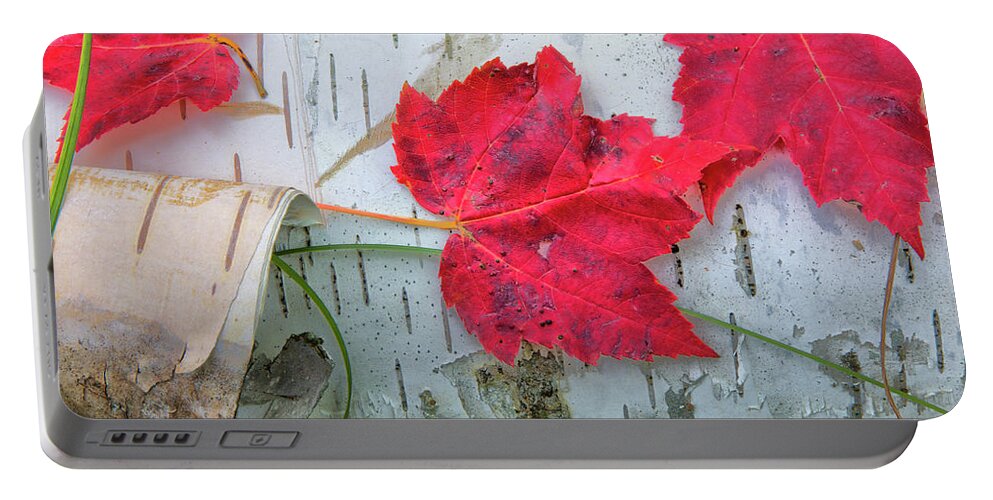 Maple Leaves Portable Battery Charger featuring the photograph Red Leaves by Nancy Dunivin