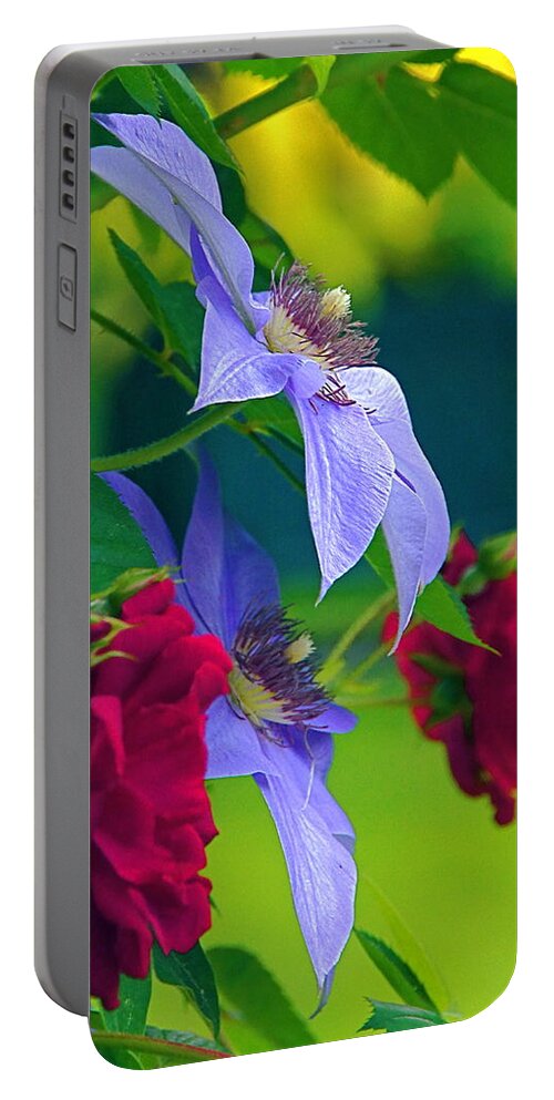 Lavender Flower Portable Battery Charger featuring the photograph Red Meets Lavender by Byron Varvarigos