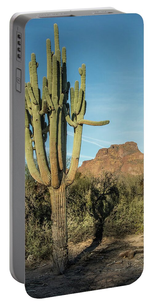 Red Portable Battery Charger featuring the photograph Red Mountain and Saguaro Shadow 2439-032118-cr by Tam Ryan