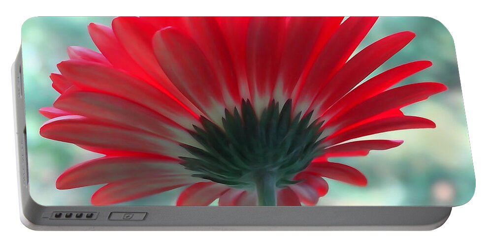 Backside Portable Battery Charger featuring the photograph Red Petals by David T Wilkinson