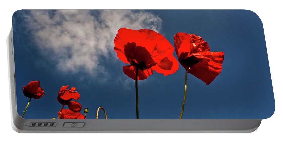 Nature Portable Battery Charger featuring the photograph Red Poppies on blue sky by Heiko Koehrer-Wagner