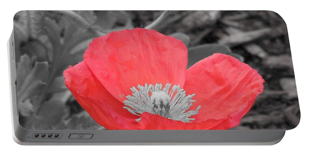 Poppy Portable Battery Charger featuring the photograph Red Poppy Flower by Chad and Stacey Hall