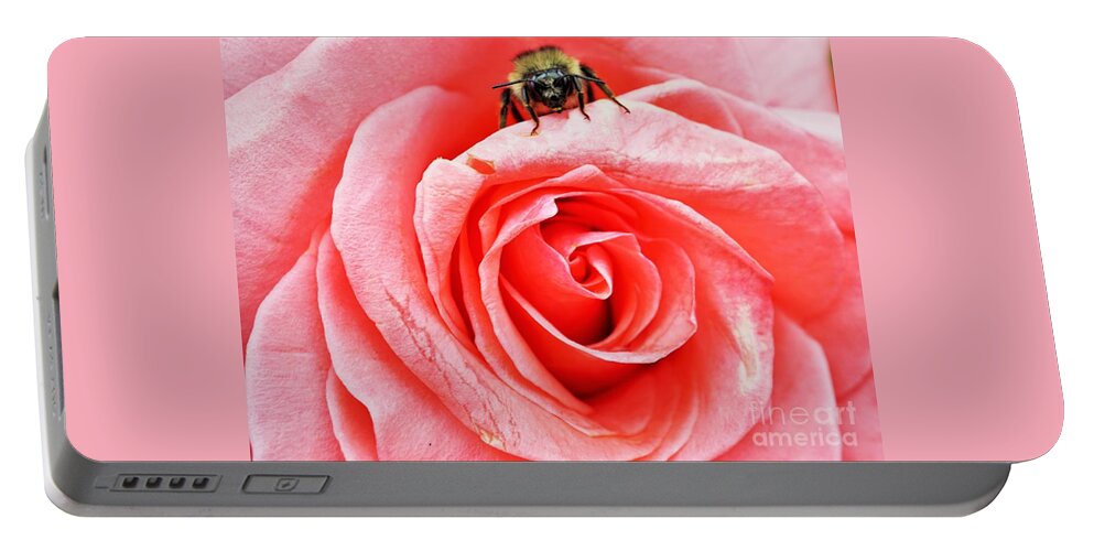 Rose Portable Battery Charger featuring the photograph Red rose and bee by Merle Grenz