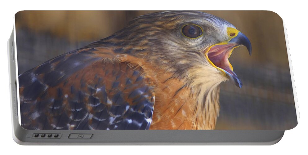 Bird Portable Battery Charger featuring the photograph Red Shoulder Hawk by Deborah Benoit