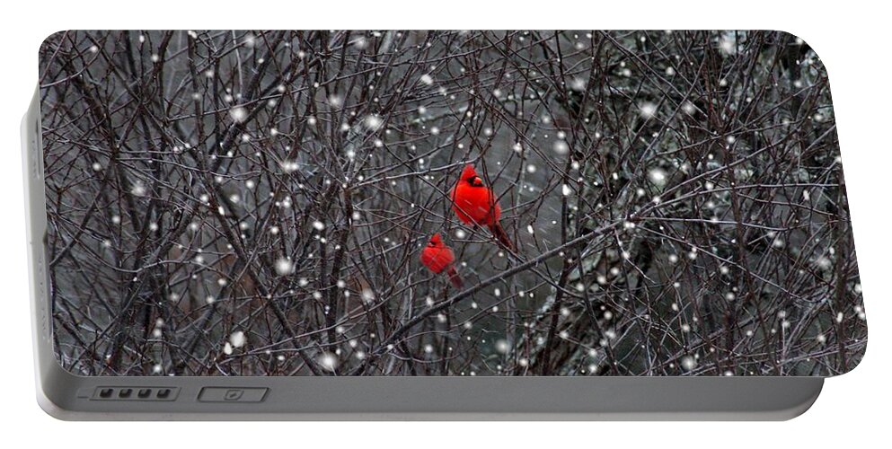 Cardinals Portable Battery Charger featuring the photograph Red Snow by Bill Stephens