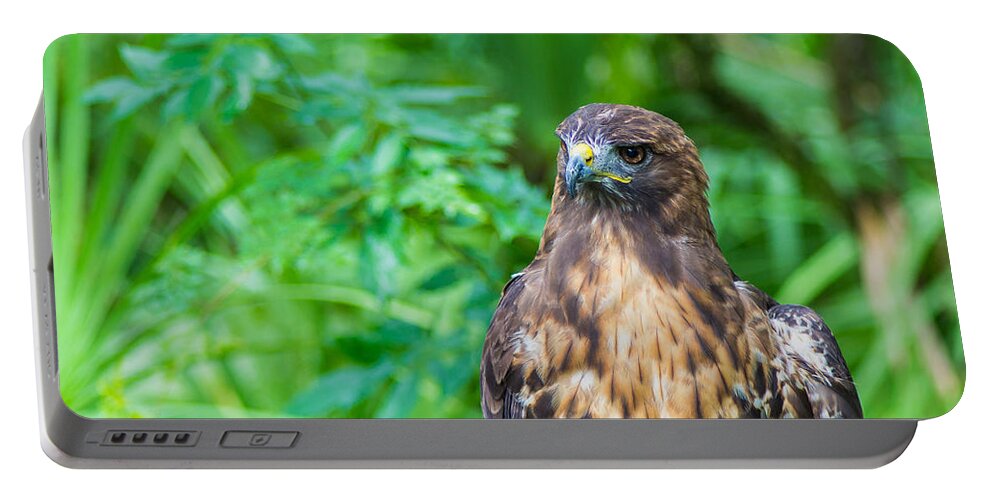 Red Tail Portable Battery Charger featuring the photograph Red Tail Hawk Macro by Shannon Harrington