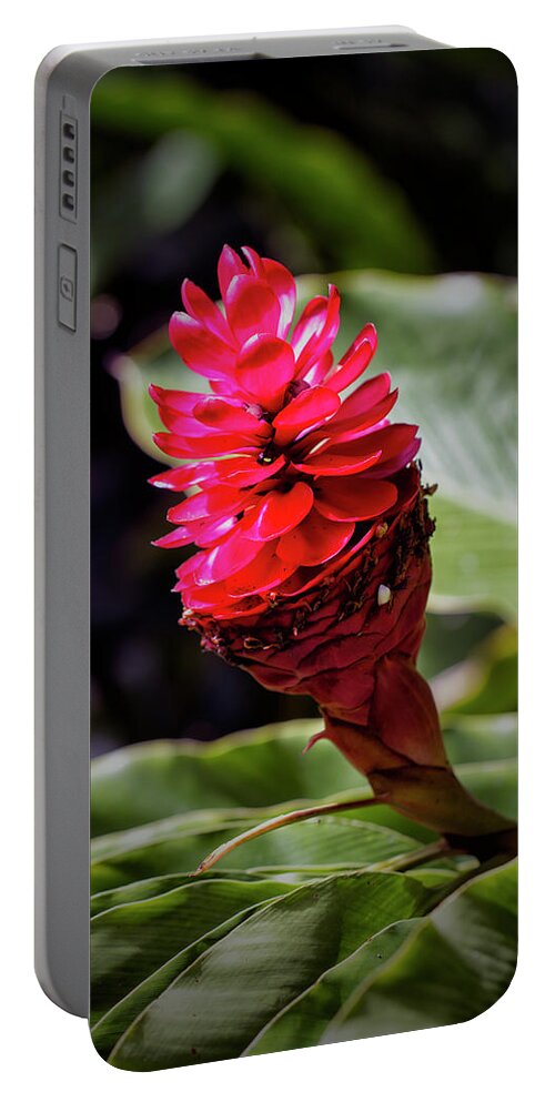 Granger Photography Portable Battery Charger featuring the photograph Red Torch by Brad Granger