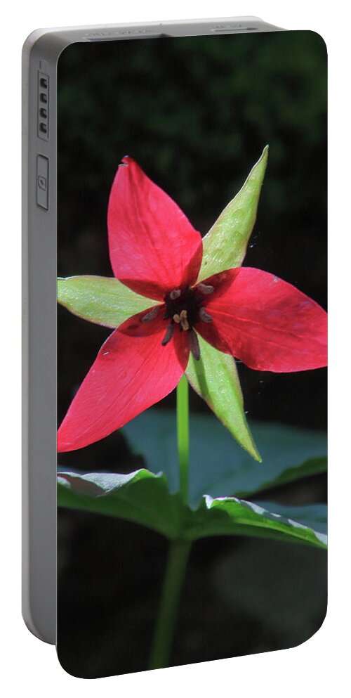 Wildflower Portable Battery Charger featuring the photograph Red Trillium Wildflower by John Burk