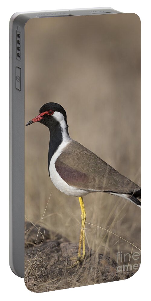 Red-wattled Lapwing Portable Battery Charger featuring the photograph Red-wattled Lapwing by Bernd Rohrschneider/FLPA