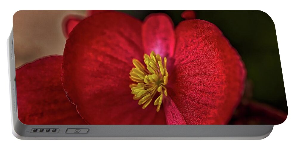 Hdr Photography Portable Battery Charger featuring the photograph Red Wax Begonia by Richard Gregurich