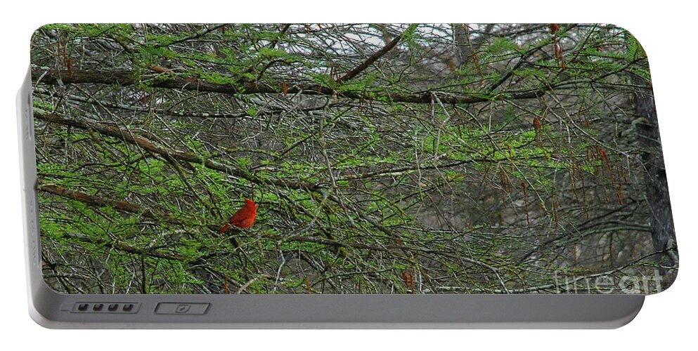 Nature Portable Battery Charger featuring the photograph Redbird by Barry Bohn