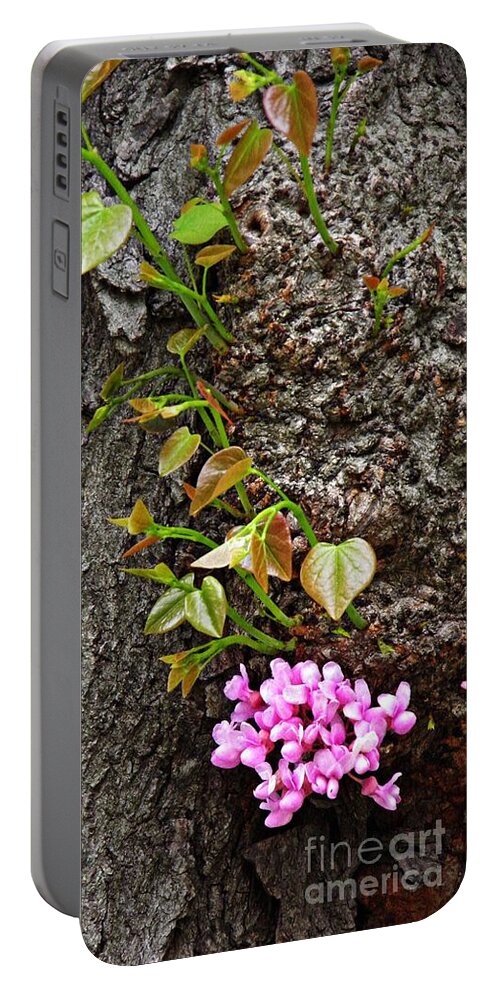 Redbud Portable Battery Charger featuring the photograph Redbud Flowers 2 by Sarah Loft