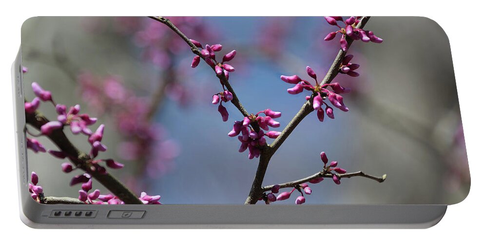 Flower Portable Battery Charger featuring the photograph Redbud by John Benedict