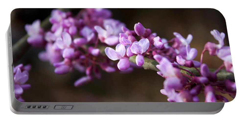 Flower Portable Battery Charger featuring the photograph Redbuds in March by Jeff Severson