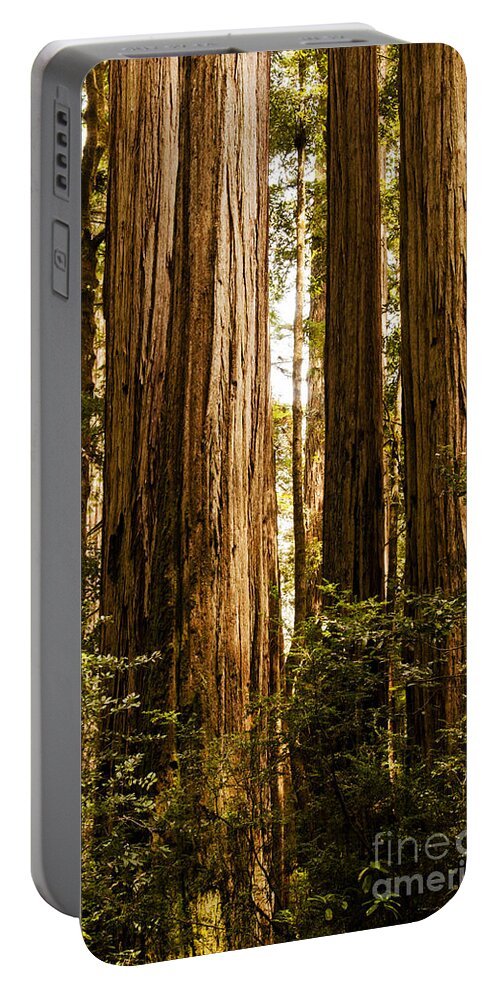 Redwoods Portable Battery Charger featuring the photograph Redwood Majesty by Vivian Christopher