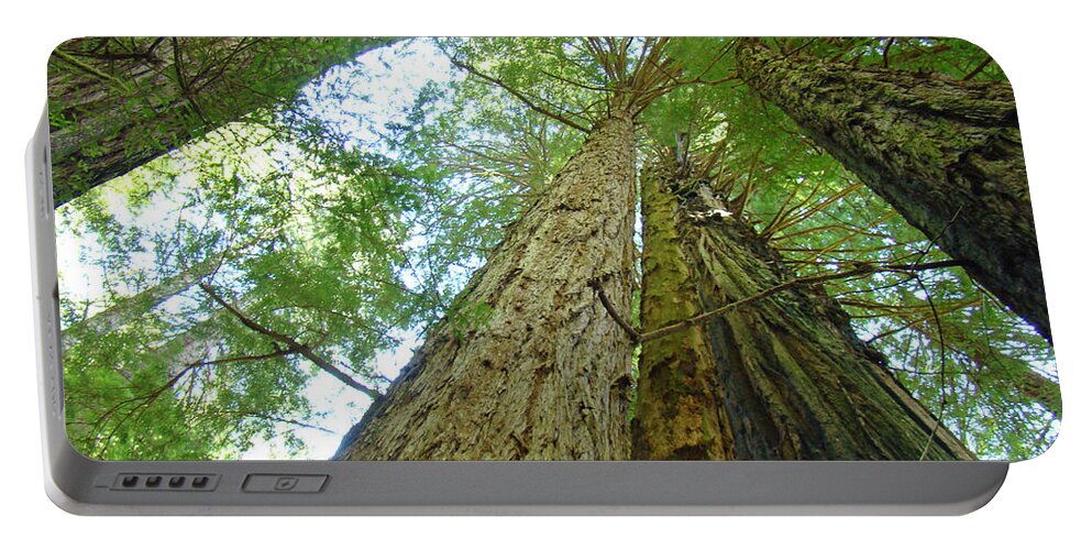 Redwood Portable Battery Charger featuring the photograph Redwood Trees Green Branches Sky art prints by Patti Baslee