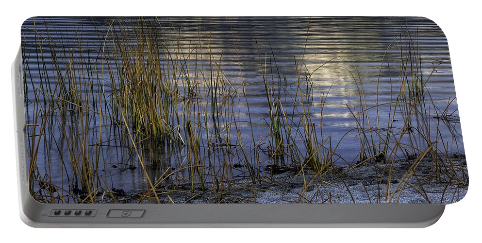 California Portable Battery Charger featuring the photograph Reeds and Reflection by Timothy Hacker