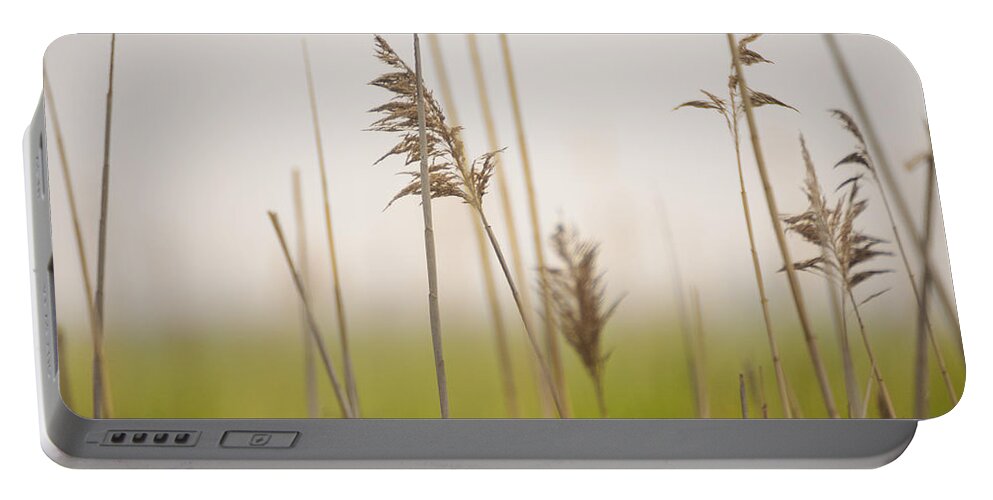 Minimalism Portable Battery Charger featuring the photograph Reeds in the Mist III by Marianne Campolongo