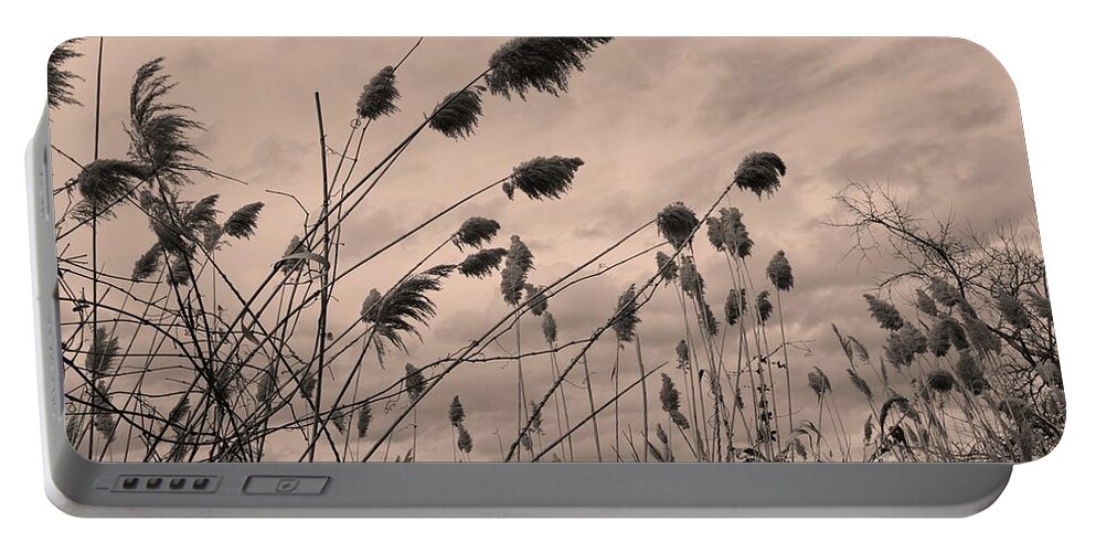 Barrieloustark Portable Battery Charger featuring the photograph Reeds Waving by Barrie Stark