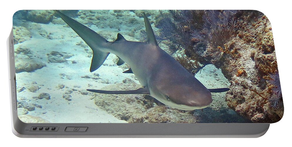Underwater Portable Battery Charger featuring the photograph Reef Shark 2 by Daryl Duda