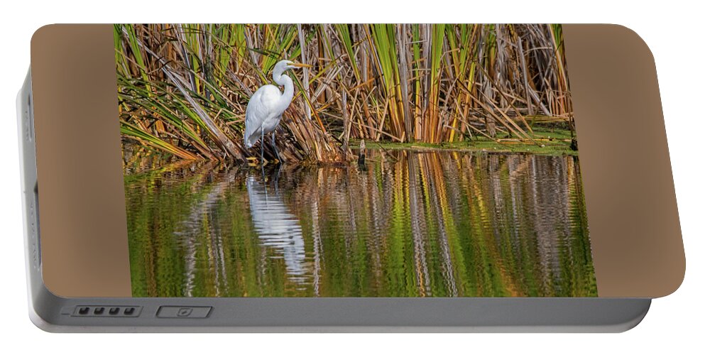 Bird Portable Battery Charger featuring the photograph Reflecting Great Egret by Ira Marcus