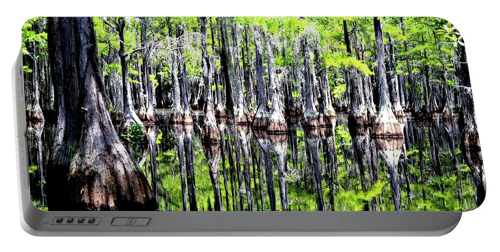 Cypress Trees Portable Battery Charger featuring the photograph Reflections of a Cypress Forest by Tara Potts
