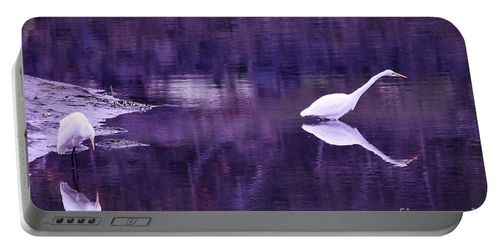 Landscape Portable Battery Charger featuring the photograph Reflections by Sheila Ping