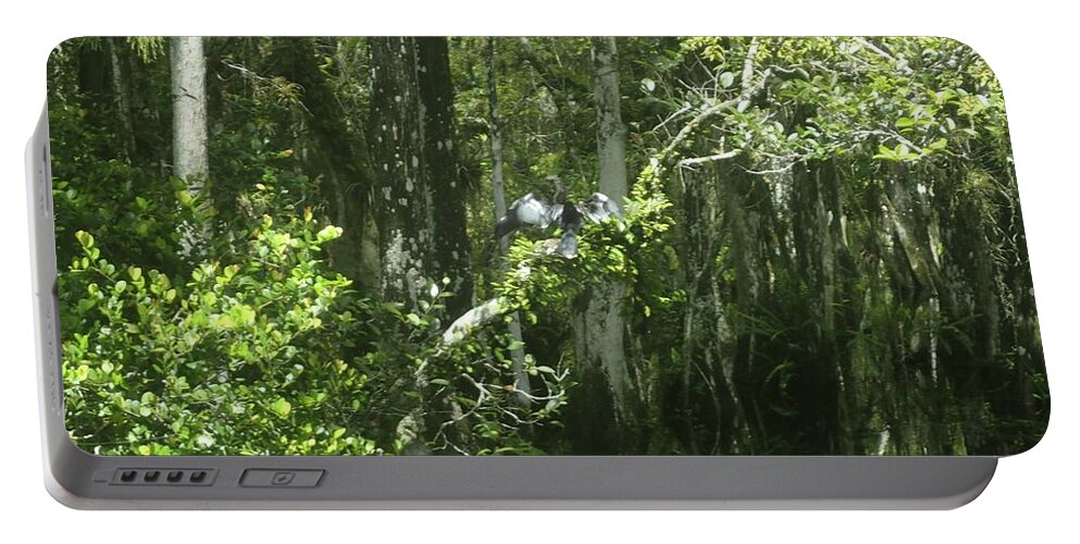 Trees Portable Battery Charger featuring the photograph Reflections upon the swamp by Denise Cicchella