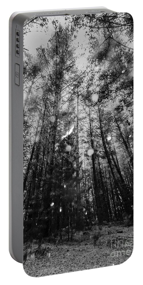 Black And White Portable Battery Charger featuring the photograph Reigning pines by Jorgo Photography