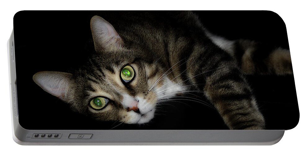 Cat Portable Battery Charger featuring the photograph Relaxation by Mike Eingle