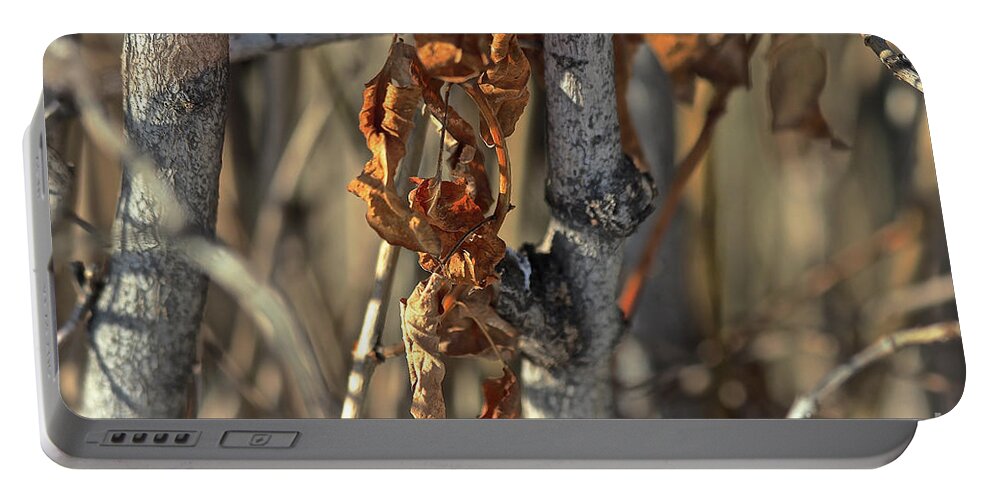 Fall Portable Battery Charger featuring the photograph Remnants of Fall by Ann E Robson