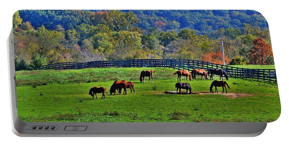 Horses Portable Battery Charger featuring the photograph Rescue Horses by Eileen Brymer