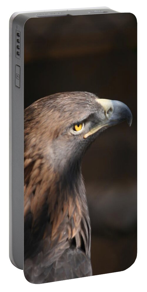 Golden Eagle Portable Battery Charger featuring the photograph Rescued by Grant Washburn