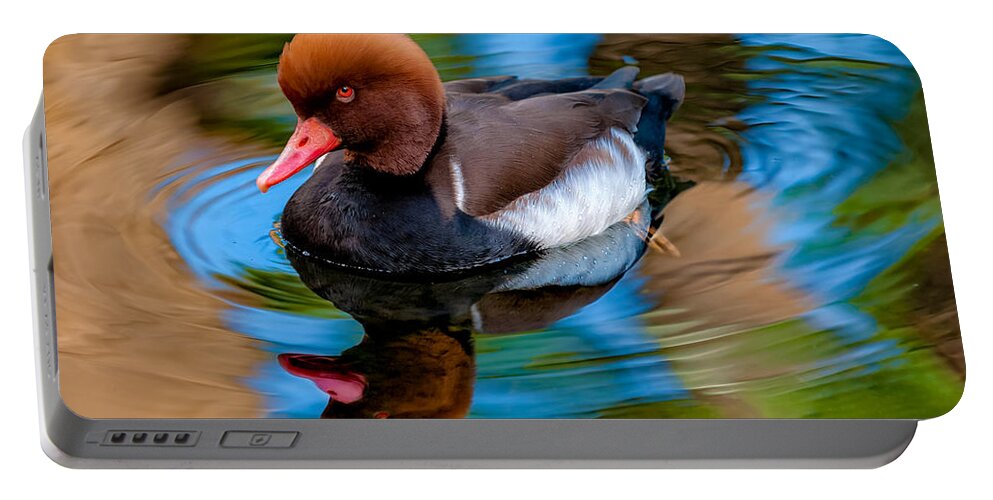 Bird Portable Battery Charger featuring the photograph Resting In Pool Of Colors by Christopher Holmes