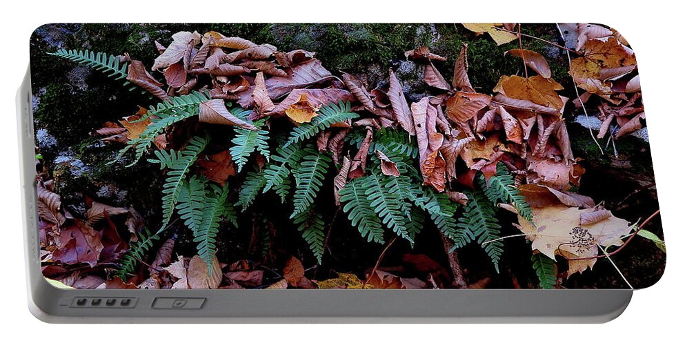 Fern Portable Battery Charger featuring the photograph Resurrection Fern Along The Appalachian Trail by Daniel Reed