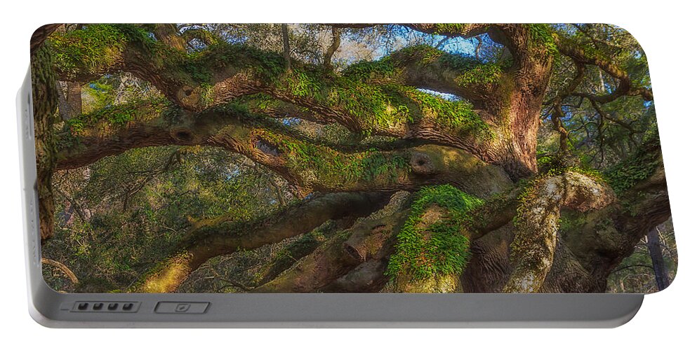 Tree Portable Battery Charger featuring the photograph Resurrection Fern dons Angel Oak by Patricia Schaefer