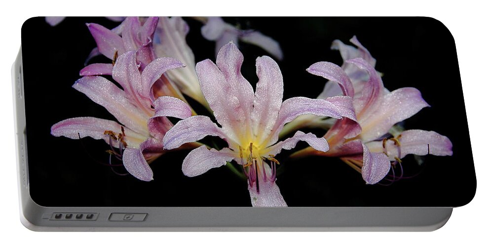 Resurrection Lily Portable Battery Charger featuring the photograph Resurrection Lily by Allen Nice-Webb